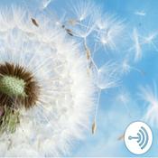 Podcast Thrive & Shine
