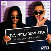 Podcast Två Meter Dumheter