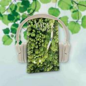 Podcast Vägen till Kristus