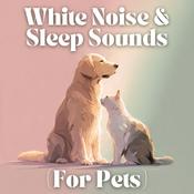 Podcast White Noise and Sleep Sounds (For Pets)
