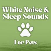 Podcast White Noise and Sleep Sounds (For Pets)