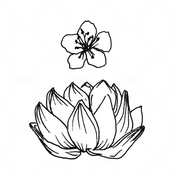 Podcast White Orchid