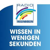 Podcast Wissen in wenigen Sekunden: Alltagsfragen leicht erklärt