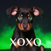 Podcast xoxo, Hades