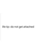 Podcast Zaids Podcasts