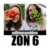 Podcast Zon 6