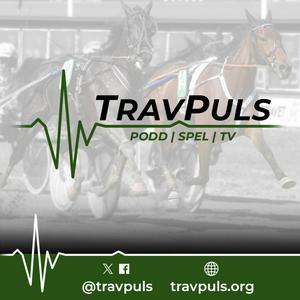 TravPuls