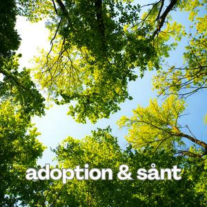 Adoption & sånt