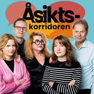 Åsiktskorridoren