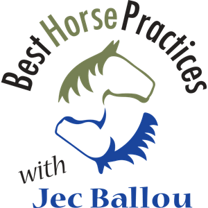 Best Horse Practices Podcast
