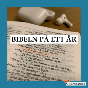 Bibeln på ett år
