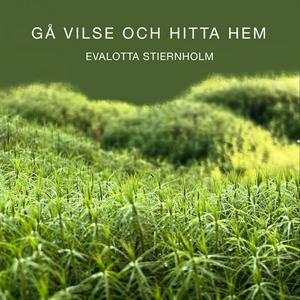 Gå vilse och hitta hem