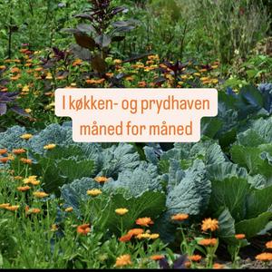 I køkken- og prydhaven måned for måned