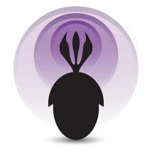 Palaeocast