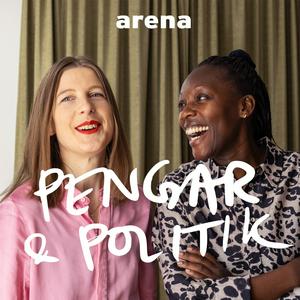 Pengar och Politik