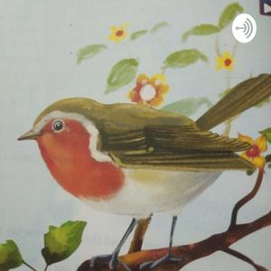 Robin