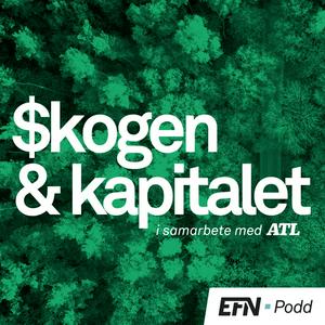 Skogen och kapitalet