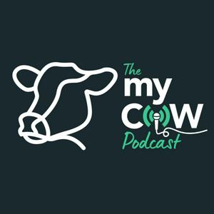 The myCOW Podcast