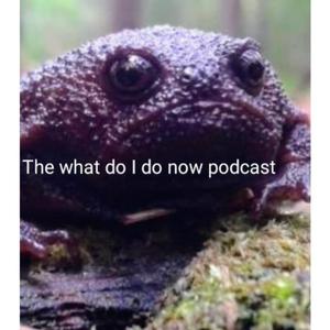 The what do I do now podcast.