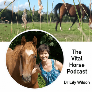 The Vital Horse Podcast