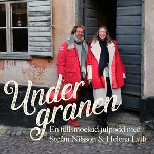 Under granen - en julpodd