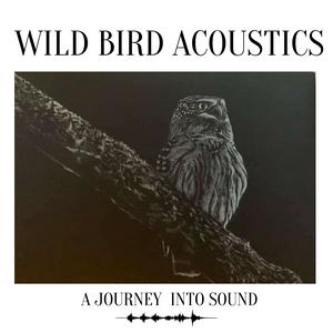 Wild Bird Acoustics